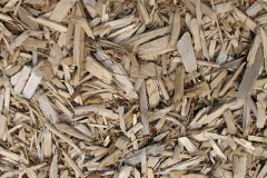 biomass boilers Gorteneorn